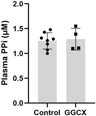 Inorganic pyrophosphate plasma levels in patients with GGCX-associated PXE-like phenotypes